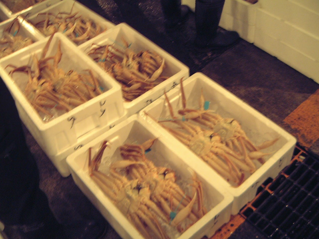 21年 最新グルメ 金沢 野々市 かほくにある注目の食べ放題メニューをご紹介 レストラン カフェ 居酒屋のネット予約 石川版 21年 最新グルメ 金沢 野々市 かほくにある注目の食べ放題メニューをご紹介 レストラン カフェ 居酒屋のネット予約 石川版
