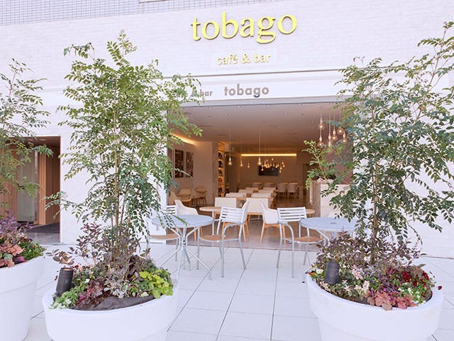 ピュアホワイトを基調にしたカフェ＆バー レストラン【tobago】 