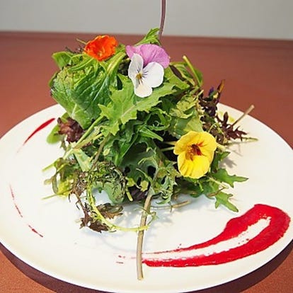 美味しいお店が見つかる 福山 ピザ 食べ放題メニュー おすすめ人気レストラン ぐるなび 美味しいお店が見つかる 福山 ピザ 食べ放題メニュー おすすめ人気レストラン ぐるなび