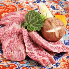 THE SEJONG GEMS 名駅店 