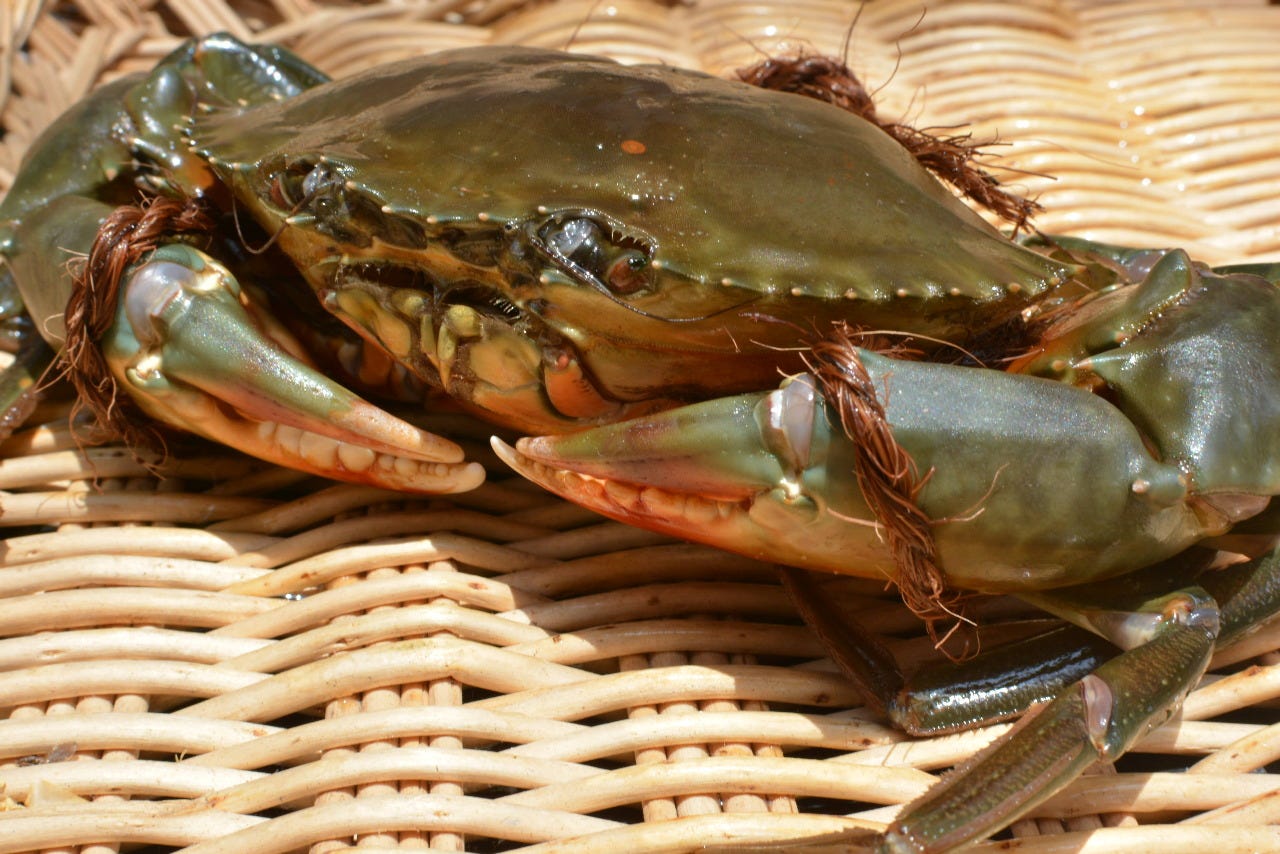 日本料理 日の出 こだわり情報2 ぐるなび