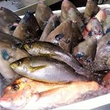 契約の釣り師から仕入れた、近海産の地魚。煮付けや唐揚げ、刺身などで提供しております。