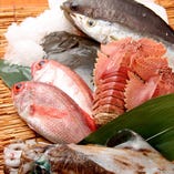 長崎直送　地魚料理