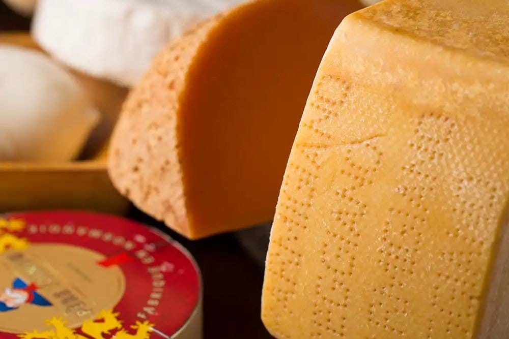 世界各地のチーズが大集結