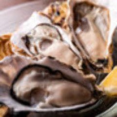 アジアンビストロ Dai 青葉台店_季節のフレッシュオイスター