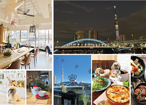 Dog Dept Cafe 浅草墨田川テラス店 浅草 カフェ ぐるなび