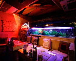 Virgin Sunset ヴァージンサンセット 大和 座間 居酒屋 ぐるなび Virgin Sunset ヴァージンサンセット 大和 座間 居酒屋 ぐるなび