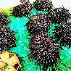 朝市場で仕入れる新鮮な魚介をご用意しております♪