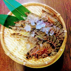 グランドメニューにはない当日だけのおすすめをご紹介致します♪