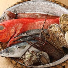 立川で人気の高級鮮魚卸問屋の初割烹