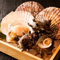 海鮮酒場 うお心 楠葉店
