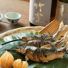 おせん 岐阜 