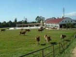 兵庫県小野市の広大な敷地にある共進直営ジャージー牧場です。
