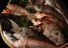 島の恵みと喰らえ 匠イメージ