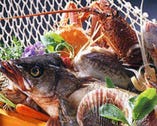 季節ごとの旬の鮮魚を全国各地から