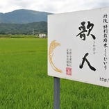 丹後特別栽培米こしひかり「歌人」【京都府】