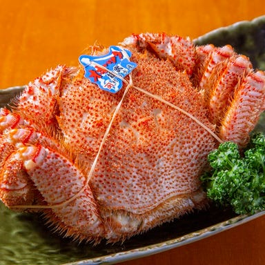 北海道料理 浜っ子 読売北海道ビル店_《特別プラン》毛蟹まるごと一杯