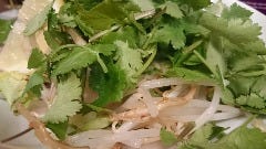 花吉 おすすめ 売れ筋メニュー ぐるなび