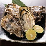 当店の牡蠣料理は、森の栄養がたっぷりと注ぎ込まれた三陸湾で育った宮城産を使用