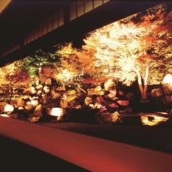 圓徳院ライトアップ時のイメージです。春・夏・秋開催されます。