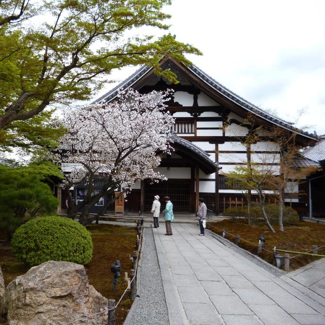 京料理 高台寺 羽柴 円山公園 高台寺 清水寺 京料理 ぐるなび