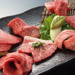 Yakiniku-to Yakei Daigo Odaibaten