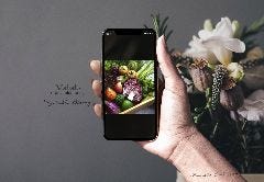 MAHALO大名 食べ飲み放題 時間無制限 