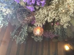 MAHALO大名 食べ飲み放題 時間無制限