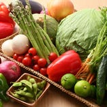 旬のお野菜も鮮度を大切に厳選。季節の素材の味を引き出した和食をお届けしております。