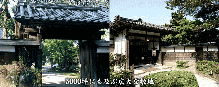 五十嵐邸 ガーデン
