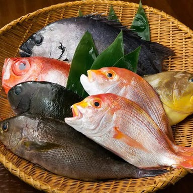 神楽坂 てしごとや 霽月_豊洲直送!究極の鮮魚