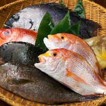 ［全国47都道府県の地酒］神楽坂 てしごとや 霽月の画像