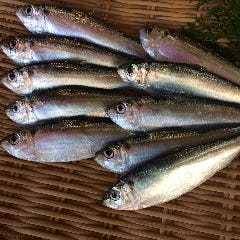 岡山を代表する食材『ままかり』ぜひ一度ご堪能ください！