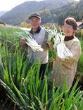 自社農園いちりんファーム【広島県安芸郡】