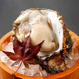 クリーミーな旨みが際立つ北海道釧路町仙鳳趾の生牡蠣【北海道】