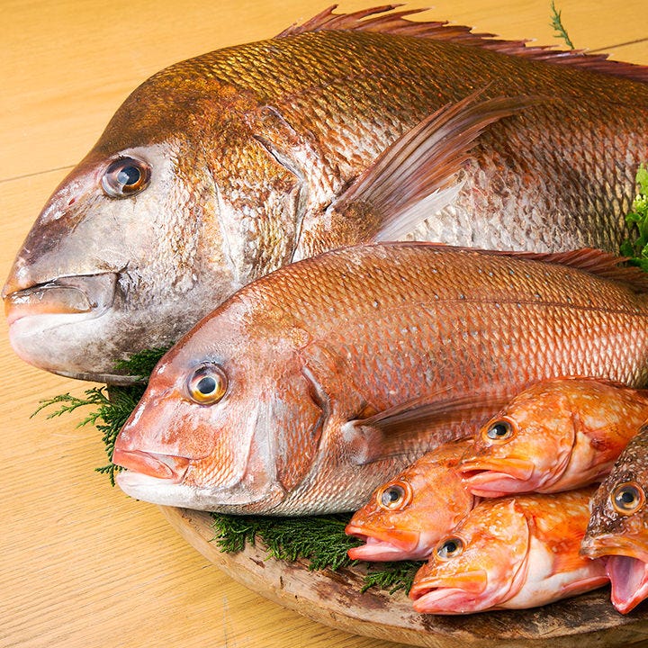 産直品や豊洲市場で目利きした旬魚にあう技法でシェフが調理