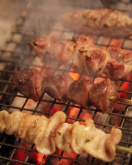 銘柄鶏「香鶏」×焼き鳥 鳥八 日本橋