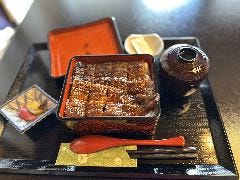 養老魚新