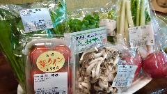 イタリア料理 sagano（サガノ）大阪阿波座店