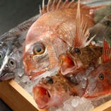 ◆産地直送の新鮮な魚料理をお楽しみ下さい◆