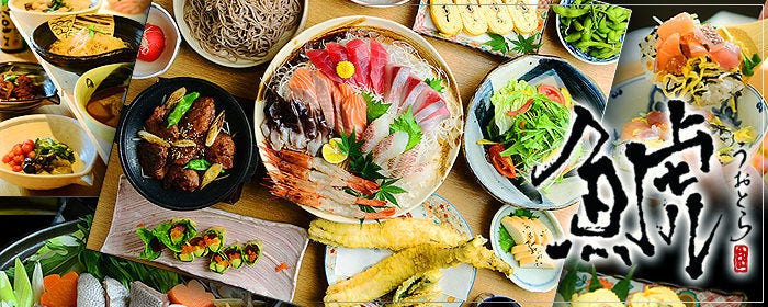 うおとら 〜 鯱
