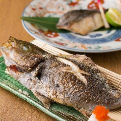 本日の日替わり焼き魚・炙り魚