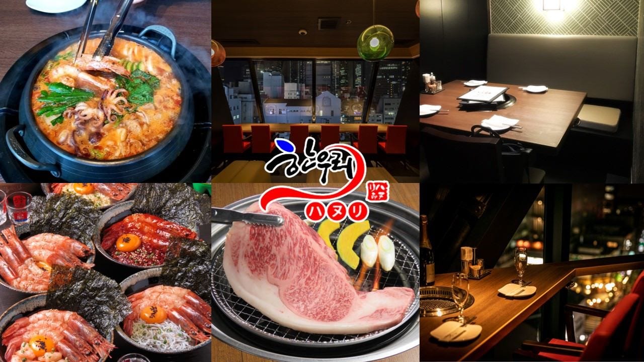 個室＆夜景 韓国料理 ハヌリ 新橋店