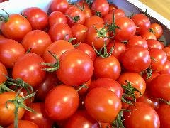 カジュアルダイニング Ta 夙川 イタリアン イタリア料理 ぐるなび カジュアルダイニング Ta 夙川 イタリアン イタリア料理 ぐるなび