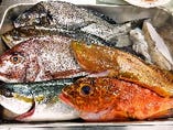 日本各地の漁港より産地直送で鮮魚が入荷！