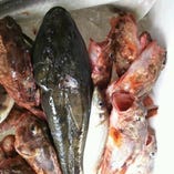 豊洲市場から仕入れた新鮮な魚介類