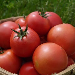 昔ながらの味と香りの濃いトマト