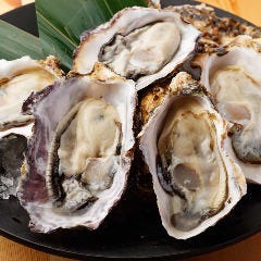 三陸漁師直送のオイスターバー Ostra de Ole（オストラデオーレ）