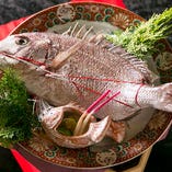 大きな真鯛など、慶びのお食事会に最適なお料理や食材も多数