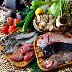 気楽酒場 若泉庵